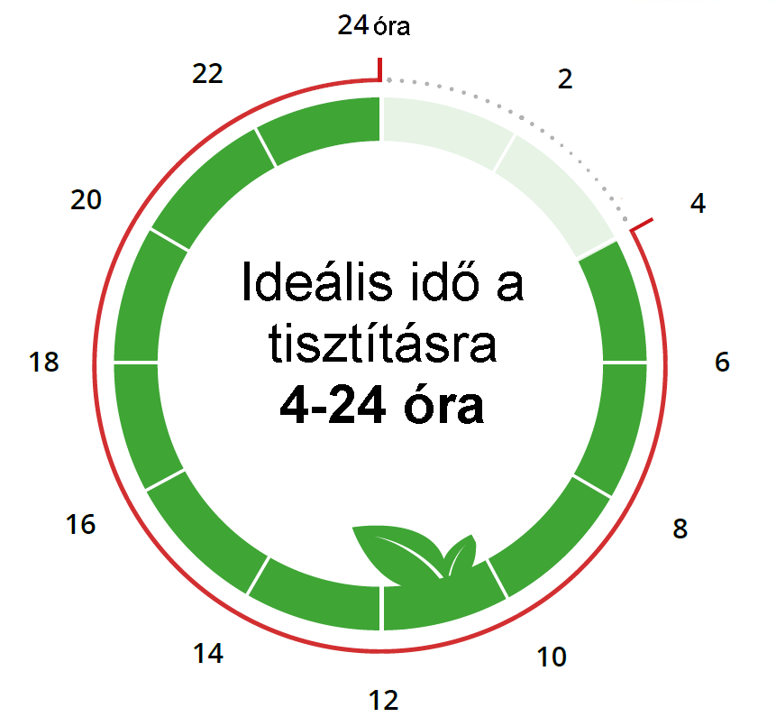 LifeOX ULTRA digital